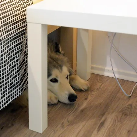 Melon-1, Murter, House For Rest * Murter