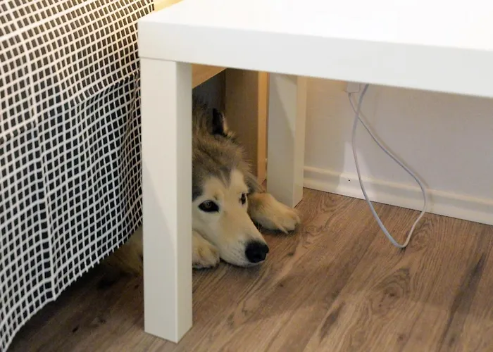 Melon-1, Murter, House For Rest * Murter